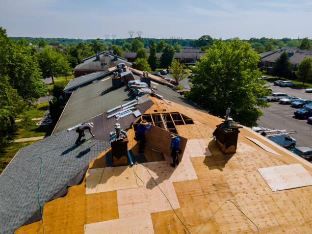 Quick and Trustworthy Emergency Roof Repair Services in Shaw, MS