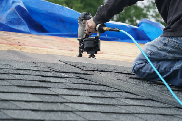 Best Roof Waterproofing Services  in Shaw, MS